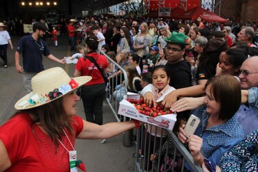 festa-do-moranguinho-2017-parte-vii