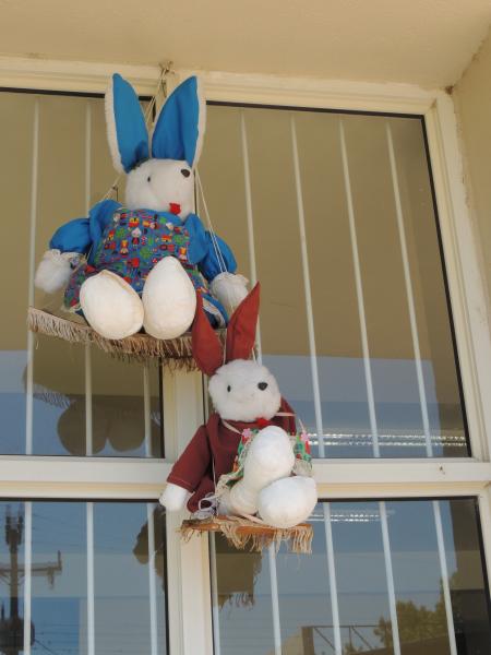DSCN6139.JPG