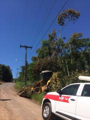 prefeitura-ajuda-nas-podas-em-nome-da-seguran-a