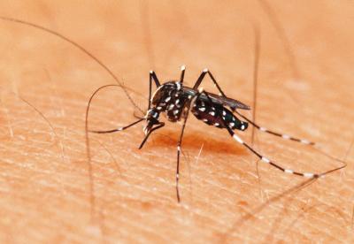 aten-o-e-cuidados-redobrados-para-dengue