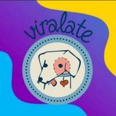 castra-o-de-c-es-e-gatos-beneficia-a-comunidade