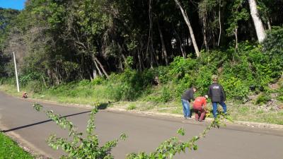 pra-a-do-jardim-do-vale-ter-at-caminhada-na-natureza