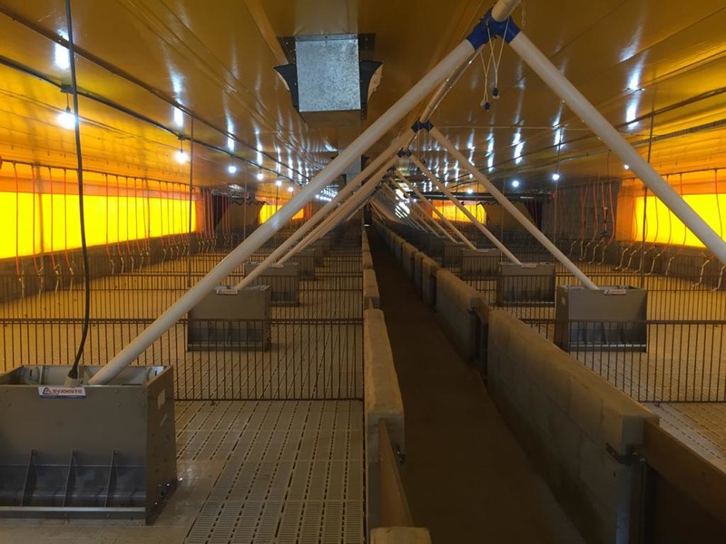 WhatsApp Image 2021-01-15 at 09.45.59.jpeg