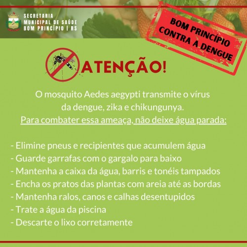 bom-principio-detecta-oito-focos-do-mosquito-da-dengue
