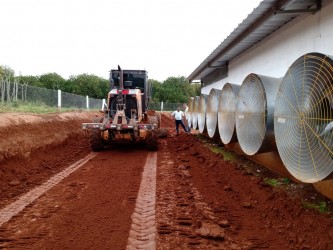 setor-primario-tem-boom-de-desenvolvimento