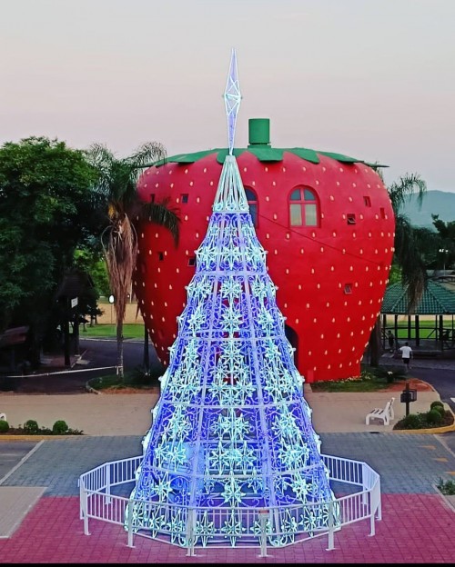 cores-de-natal-apaixonam