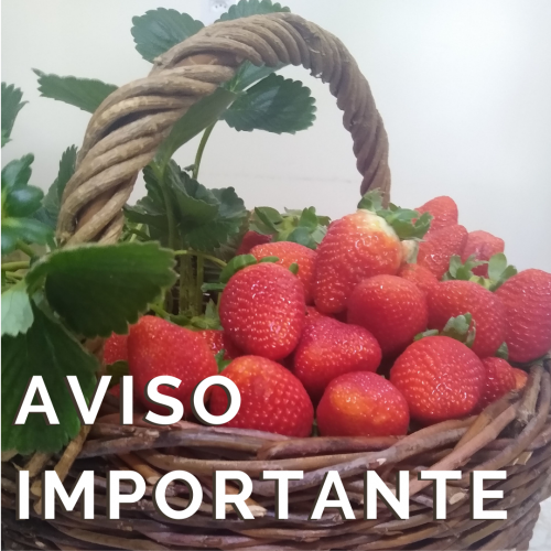 instabilidade-no-sistema-de-notas-eletronicas-podem-ocorrer-nesta-sexta