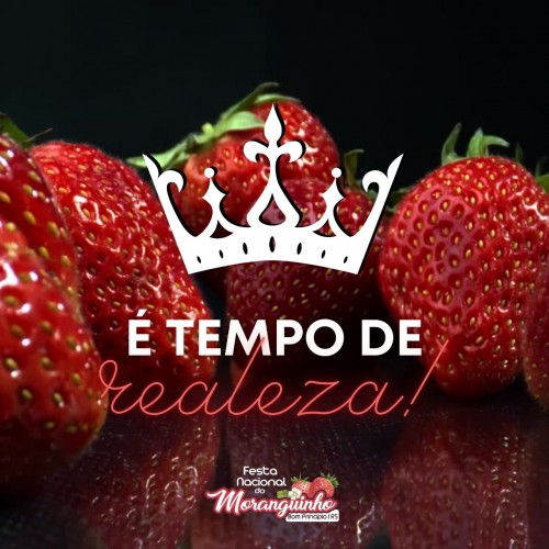 ficha-de-inscricao-para-candidatas-a-rainha-do-moranguinho