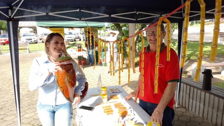 tem-ate-peixes-na-praca-dos-ipes