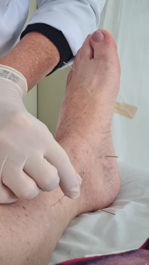 pics-promovem-saude-e-bem-estar-integral