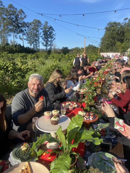 esta-aberta-a-temporada-de-moranguinhos