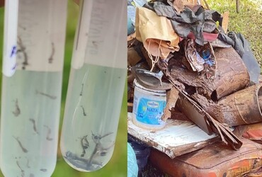 municipio-tem-risco-medio-para-dengue