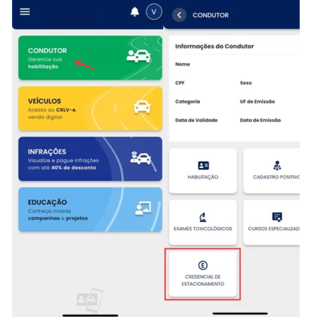 Figura 1 Estacionamento Idoso.png