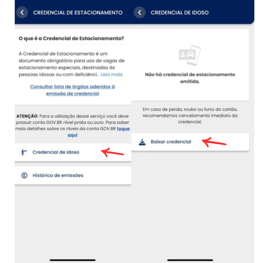 Figura 2 Estacionamento Idoso.png