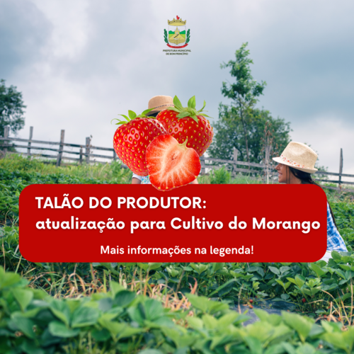 adequacao-no-talao-do-produtor-para-cultivo-de-morango