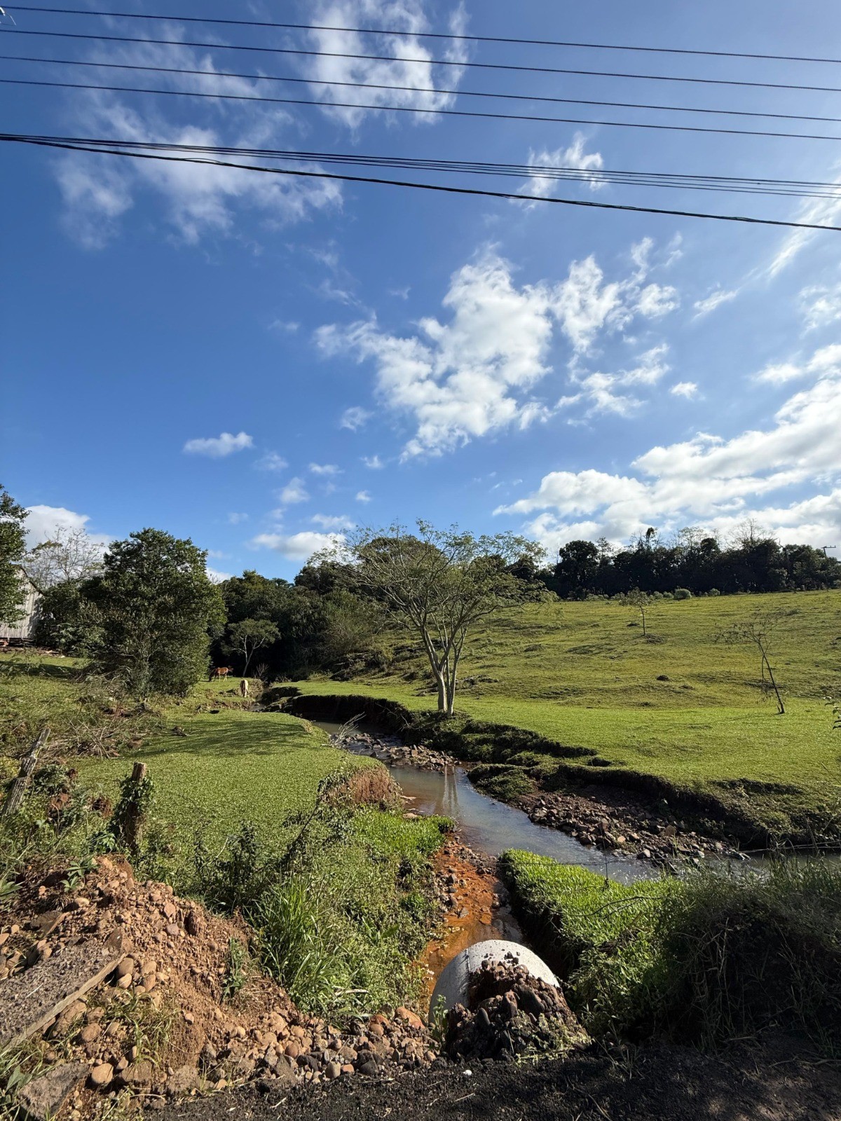 WhatsApp Image 2025-06-13 at 14.33.50.jpeg