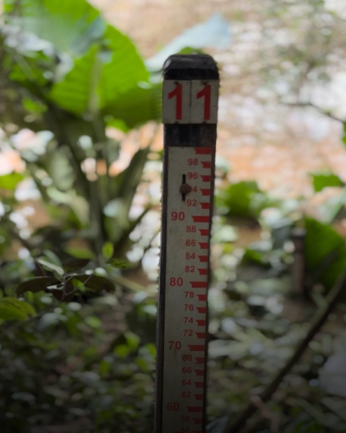 monitoramento-do-rio-cai-retomado-com-instalacao-de-novas-reguas-de-medicao