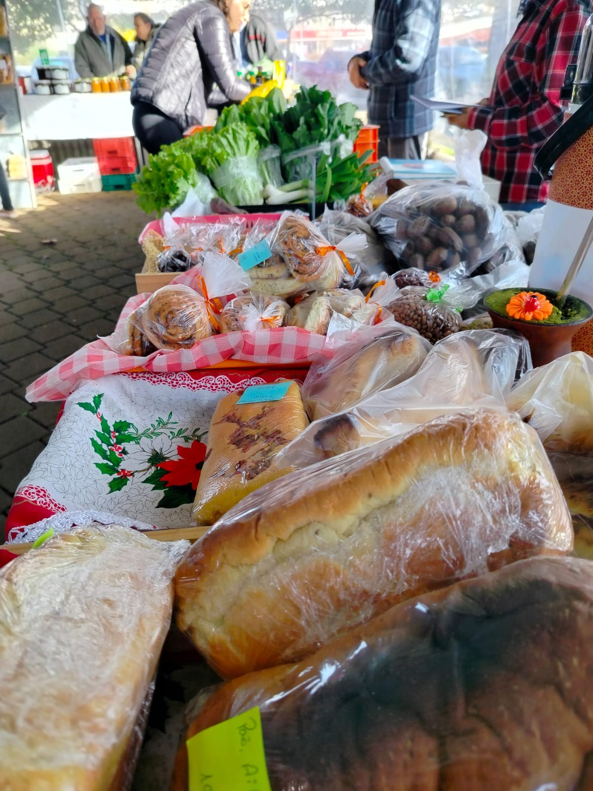 WhatsApp Image 2025-07-05 at 09.29.19.jpeg