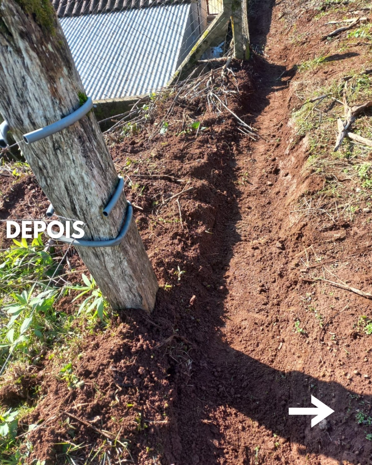 WhatsApp Image 2025-07-07 at 16.34.08 (5).jpeg