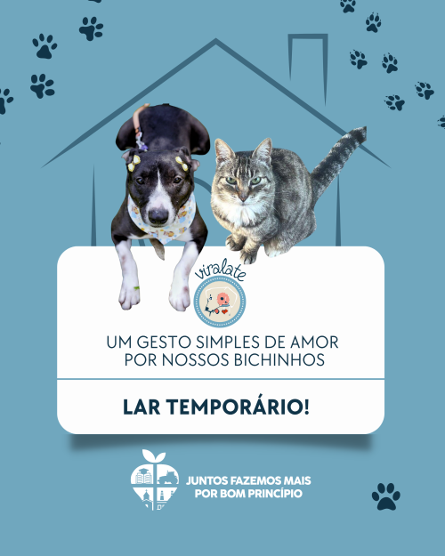 lar-temporario-um-gesto-simples-que-transforma-vidas