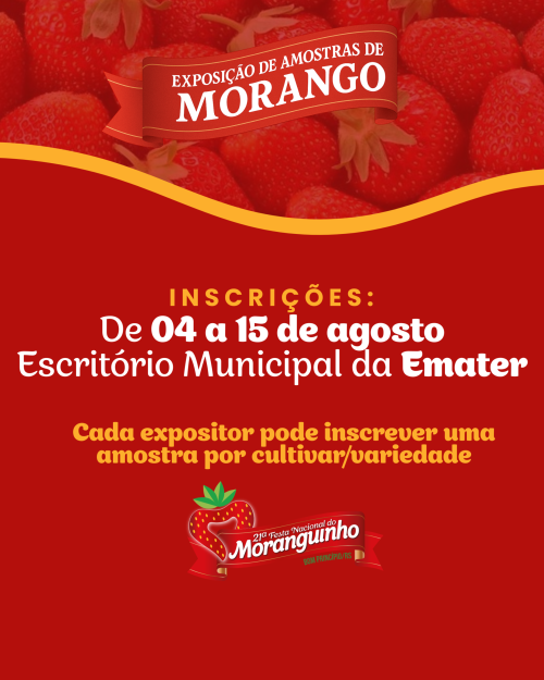 produtores-de-morango-ja-podem-se-inscrever-para-a-exposicao