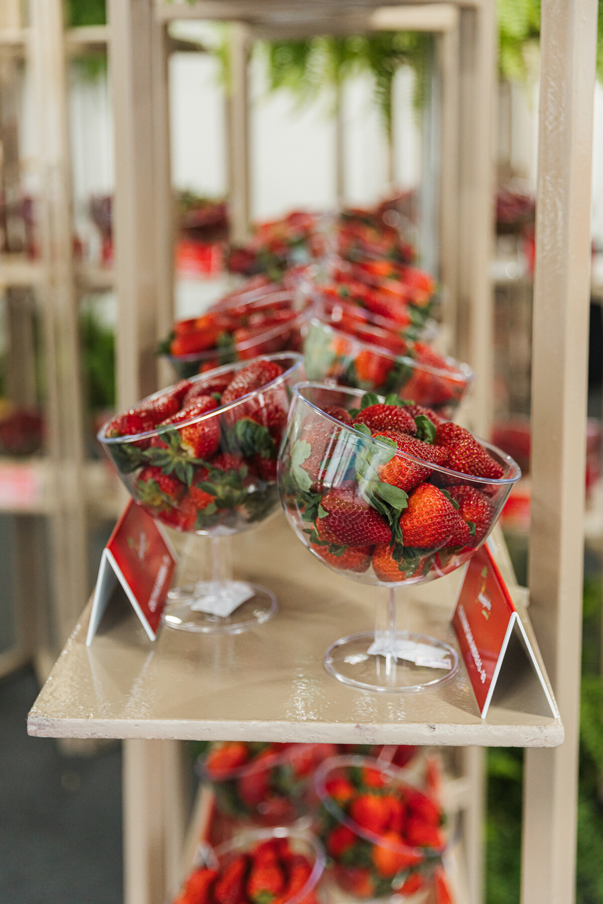 exposicao-de-morangos-destaca-diversidade-e-qualidade-da-producao