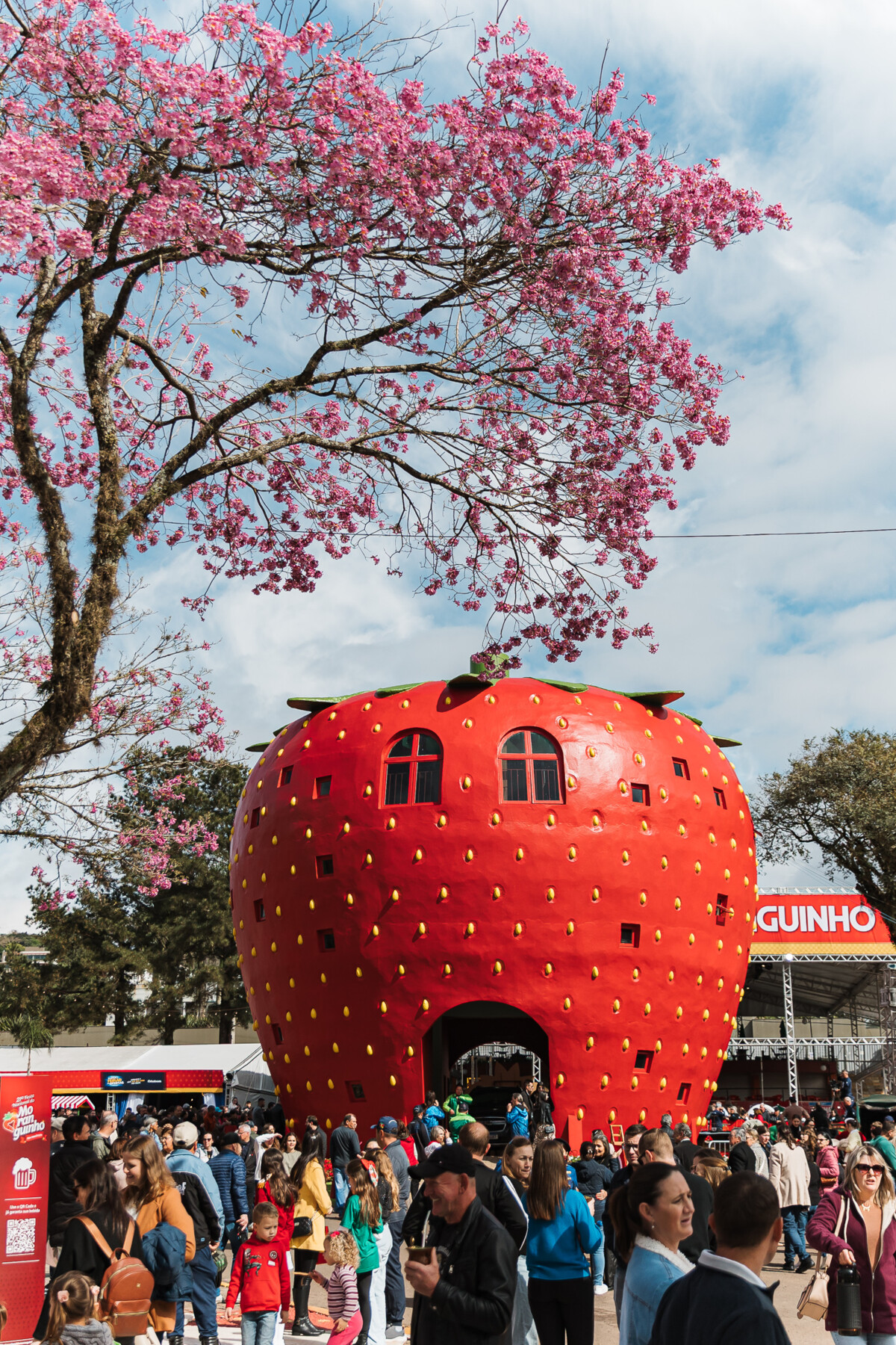 ipe-e-oficializado-como-arvore-simbolo