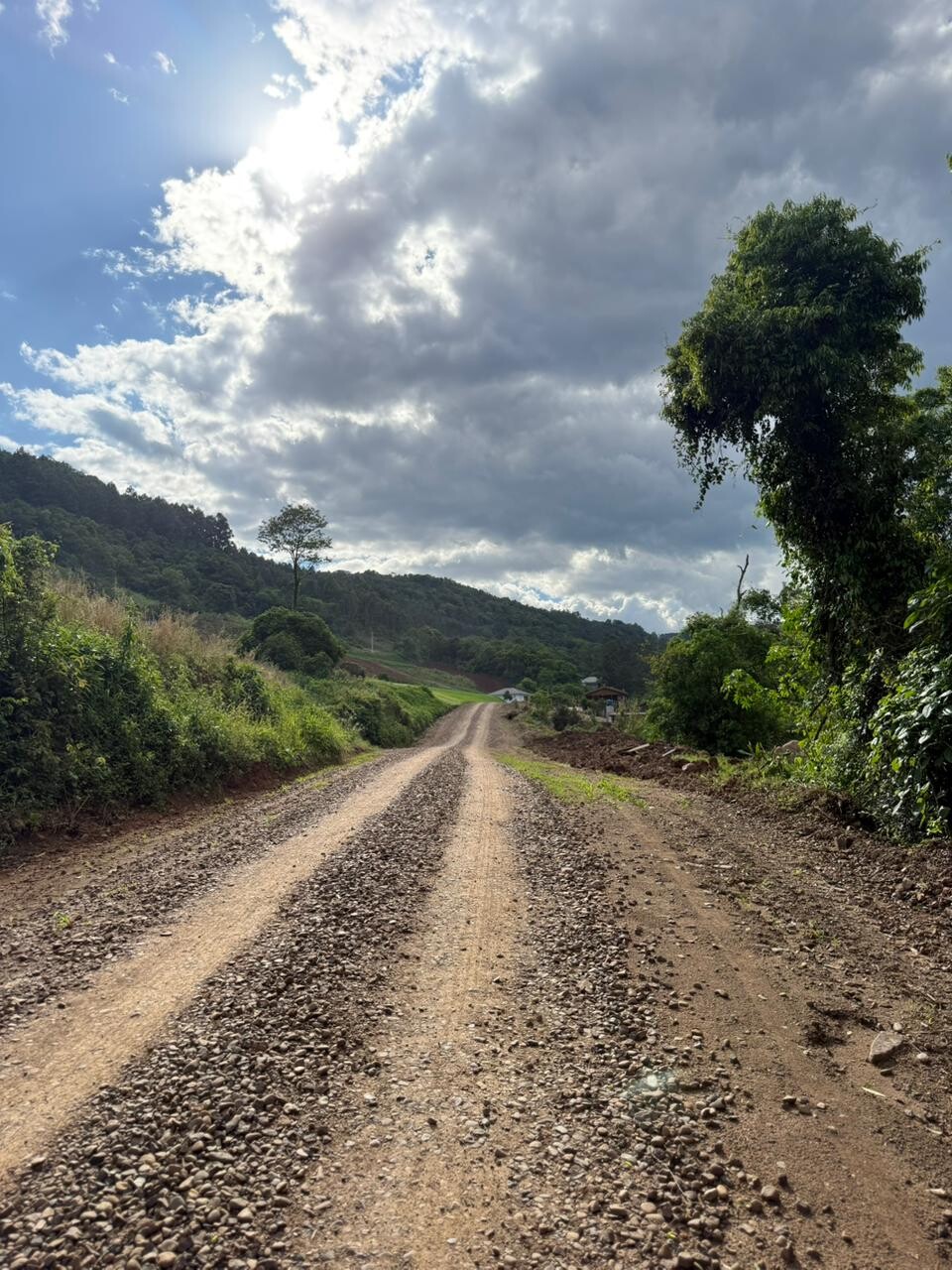 WhatsApp Image 2025-10-10 at 10.42.11.jpeg