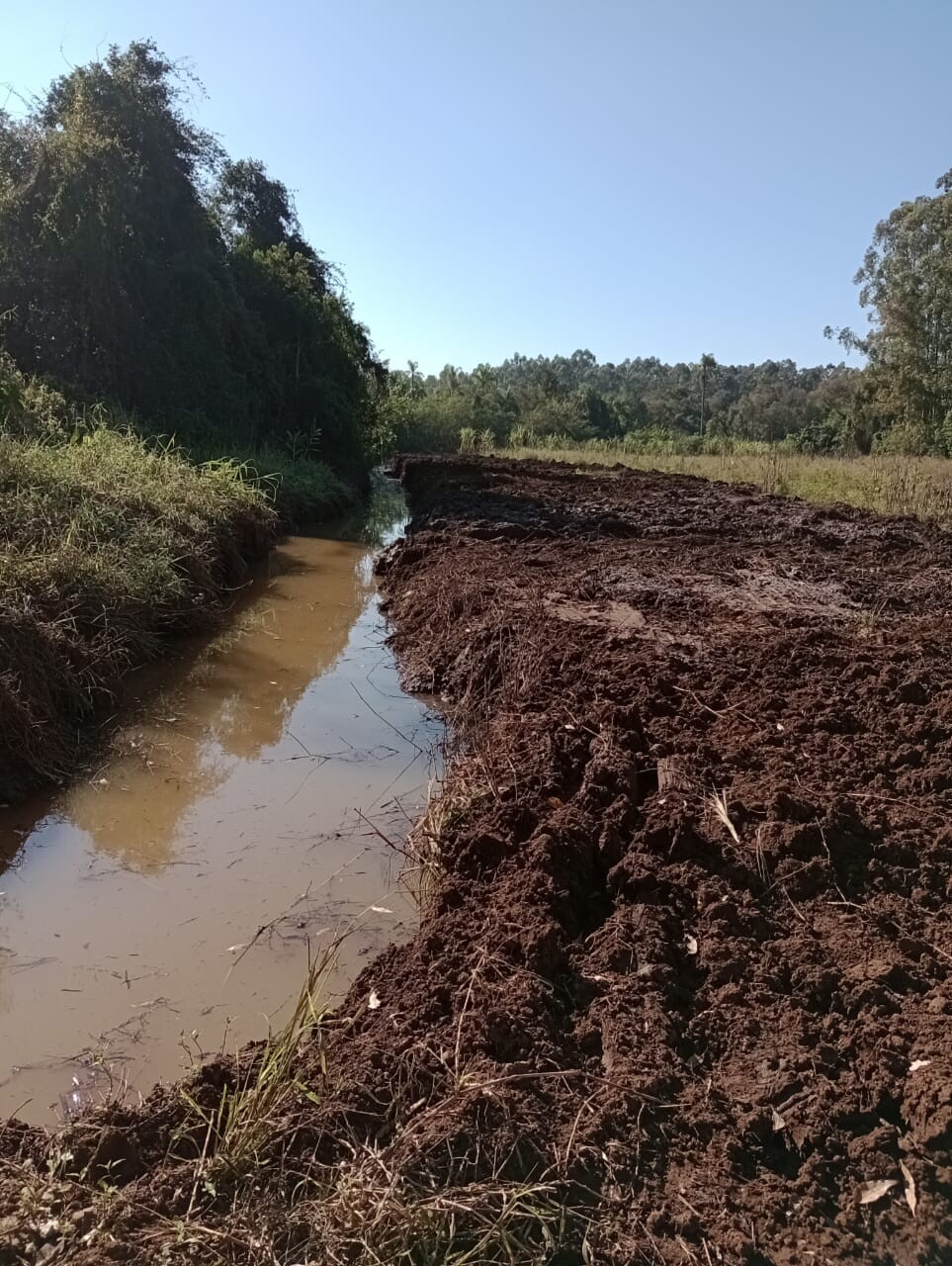 WhatsApp Image 2025-10-16 at 09.14.09.jpeg