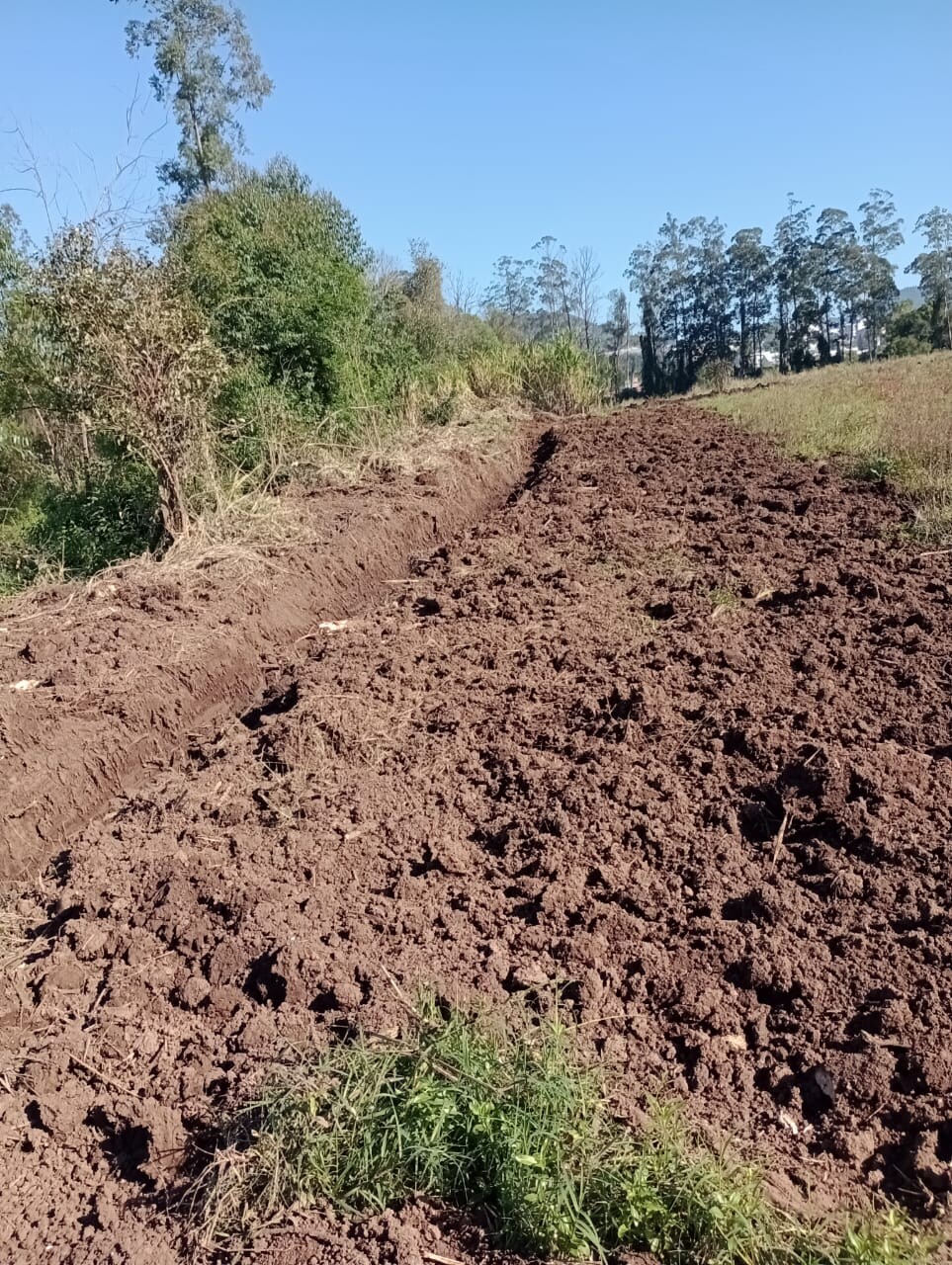 WhatsApp Image 2025-10-16 at 09.14.08.jpeg