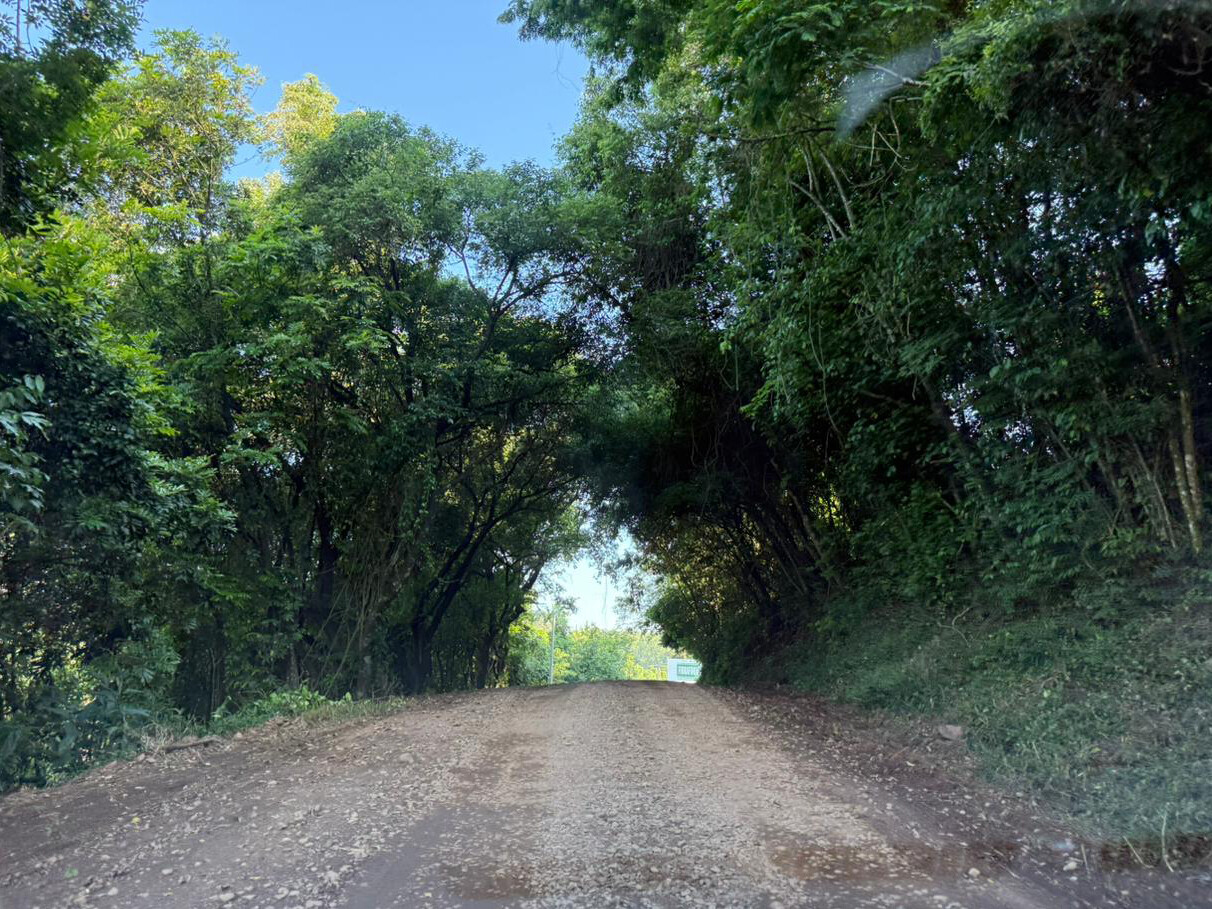 WhatsApp Image 2025-11-12 at 13.04.40.jpeg