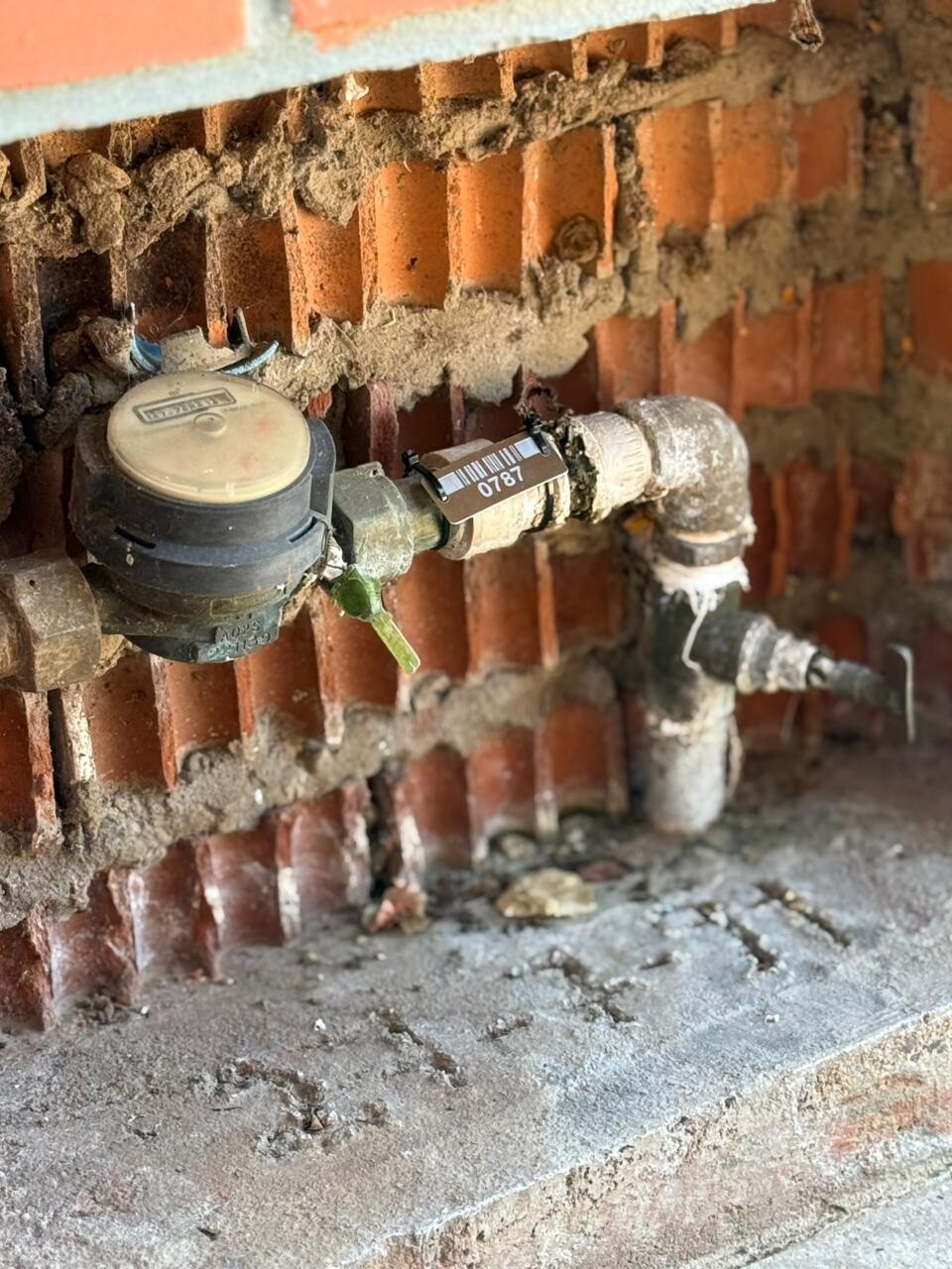 WhatsApp Image 2025-11-13 at 17.27.59.jpeg