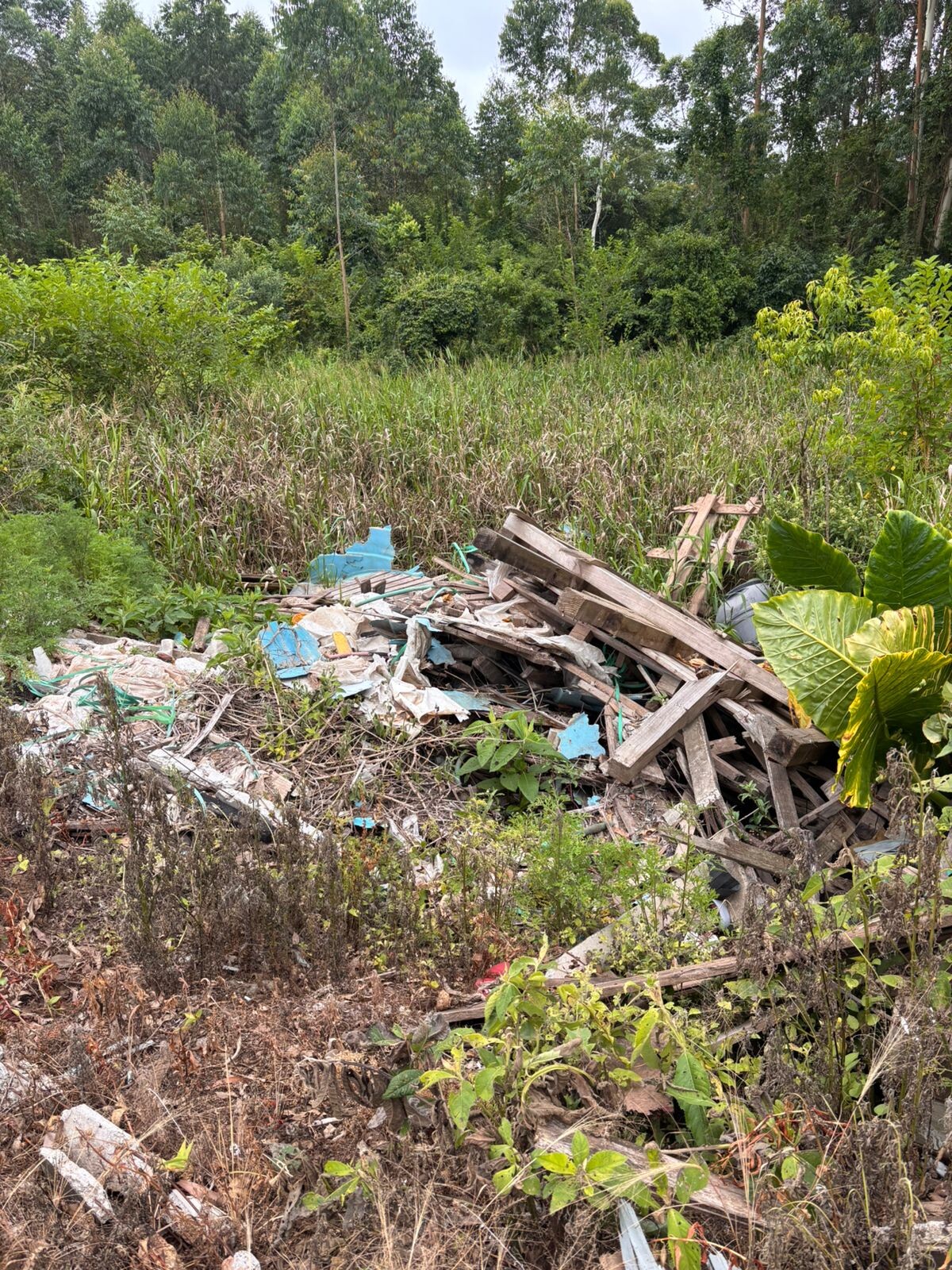 WhatsApp Image 2025-12-08 at 17.20.08 (2).jpeg