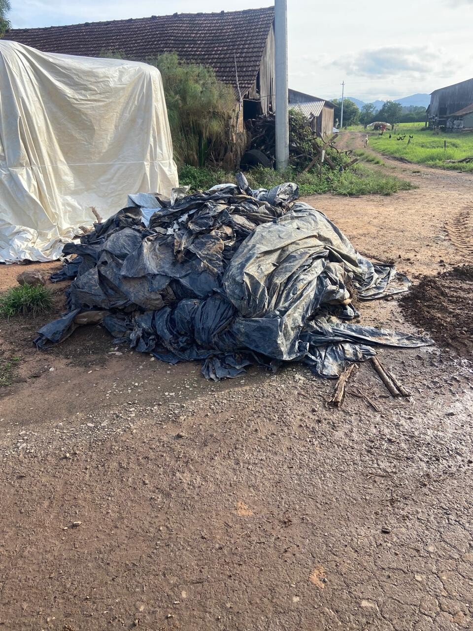 municipio-organiza-forca-tarefa-para-recolhimento-de-residuos-agricolas