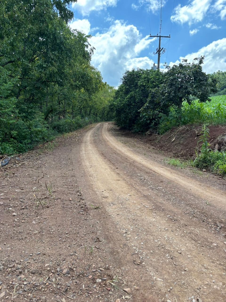 WhatsApp Image 2026-02-18 at 14.55.39.jpeg