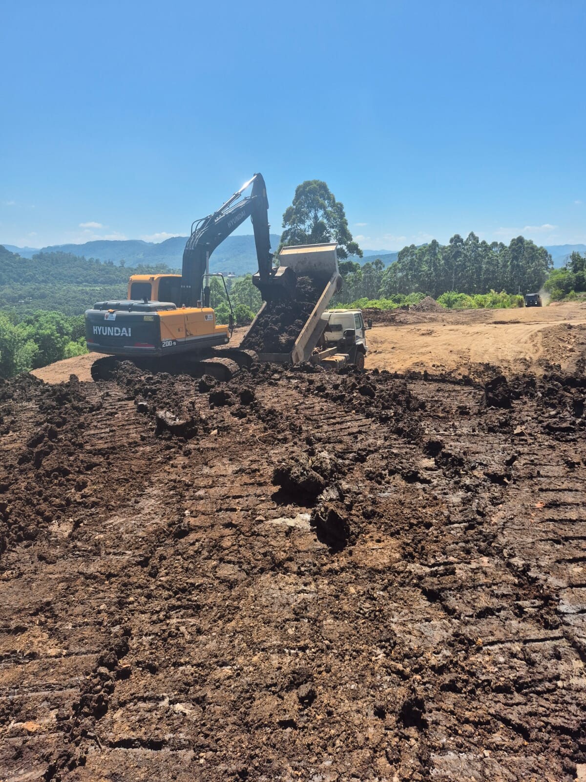 WhatsApp Image 2026-02-06 at 11.30.58 (2).jpeg