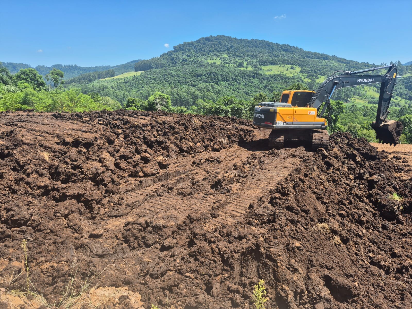 WhatsApp Image 2026-02-06 at 11.30.58 (1).jpeg