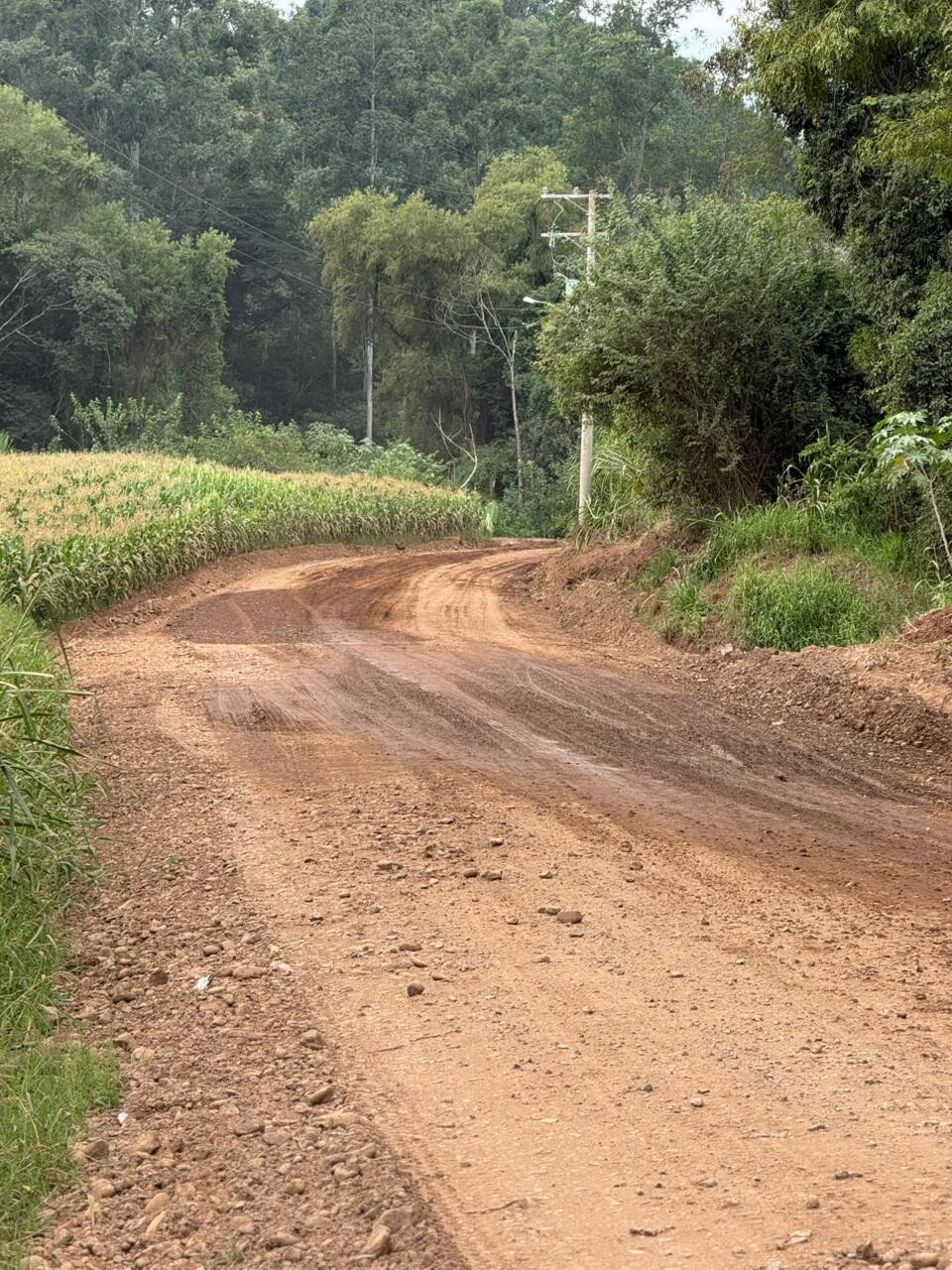 WhatsApp Image 2026-03-31 at 14.55.02 (1).jpeg