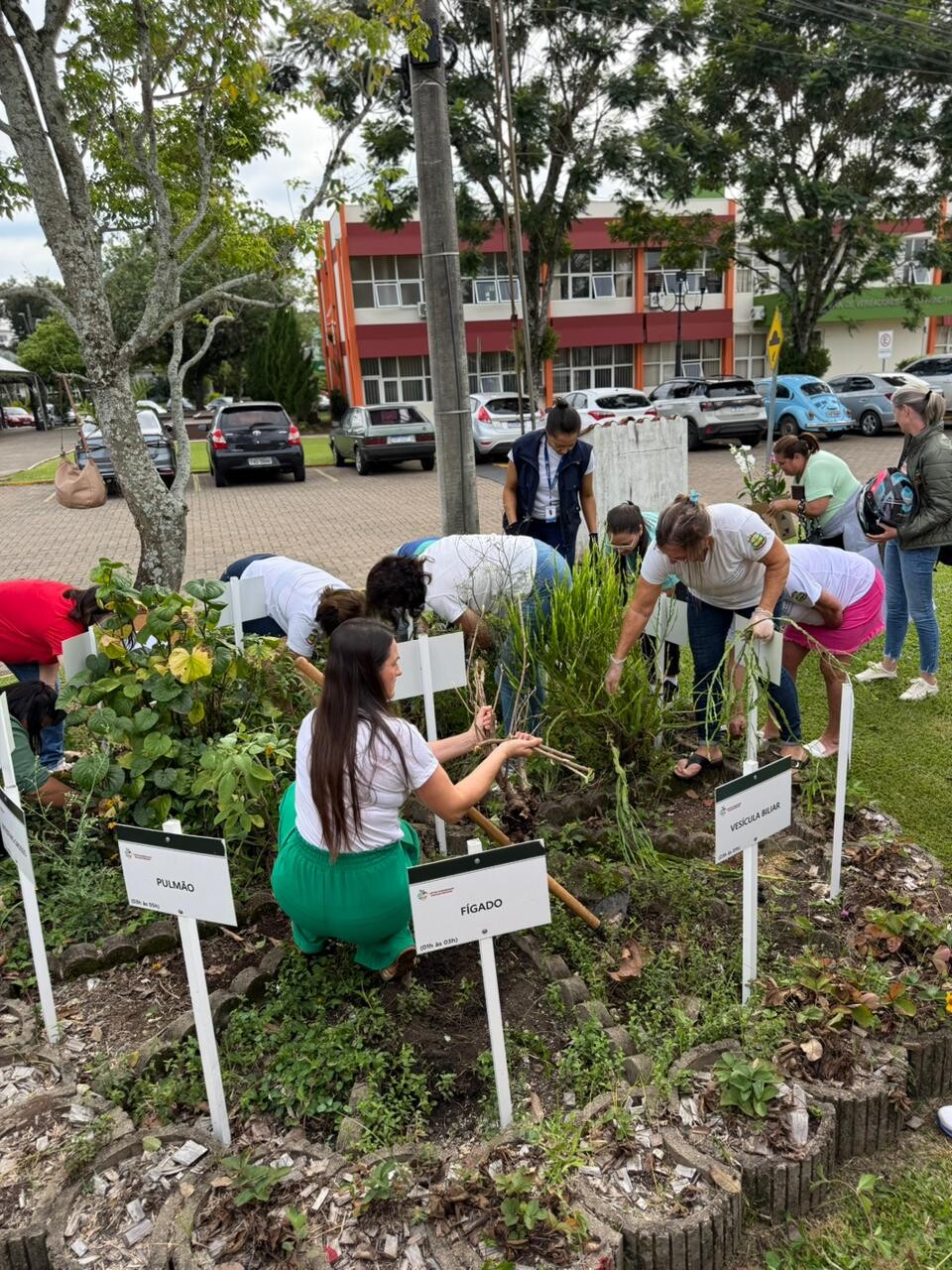 WhatsApp Image 2026-04-15 at 16.39.49 (1).jpeg