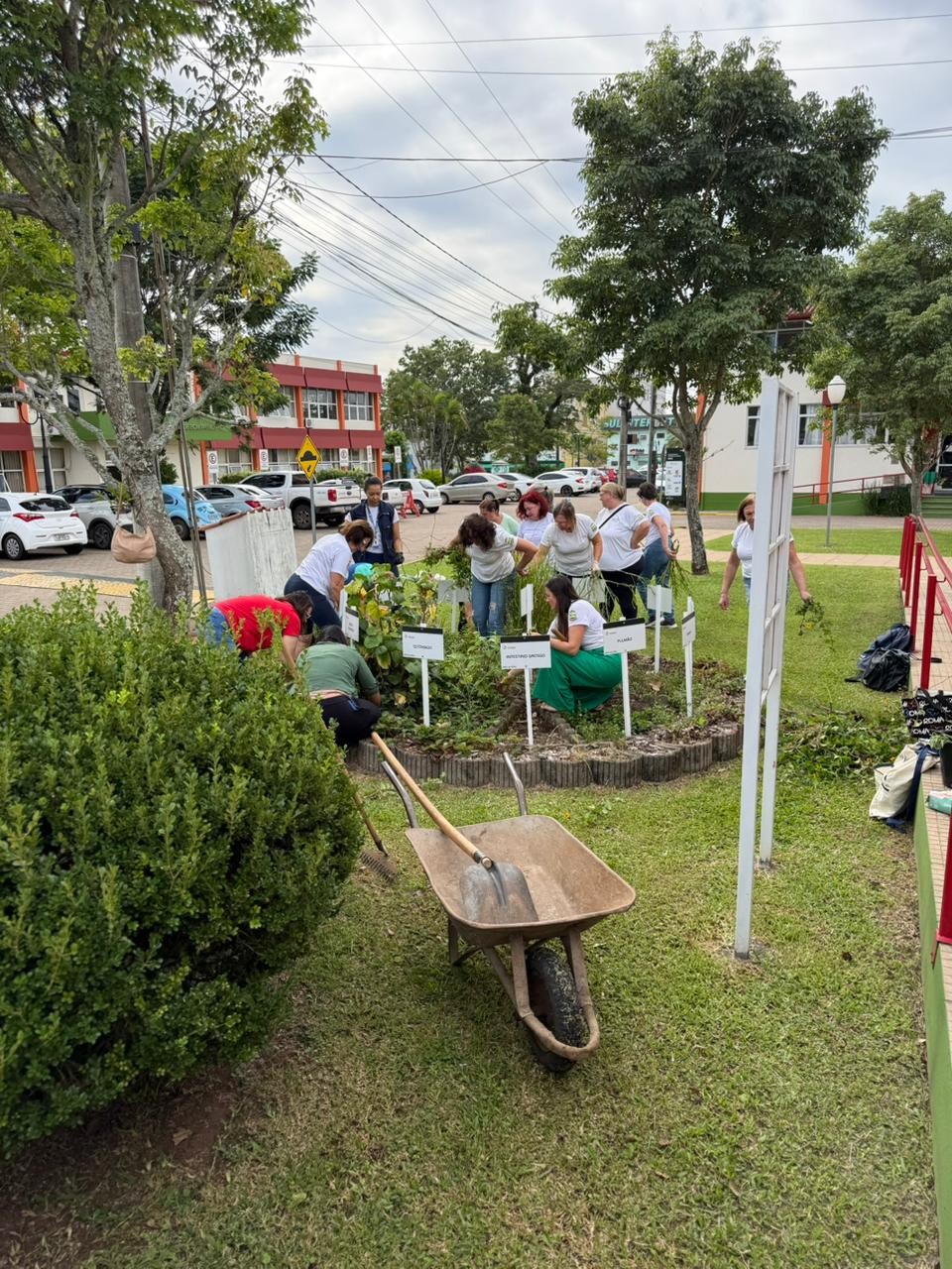 WhatsApp Image 2026-04-15 at 16.39.49.jpeg