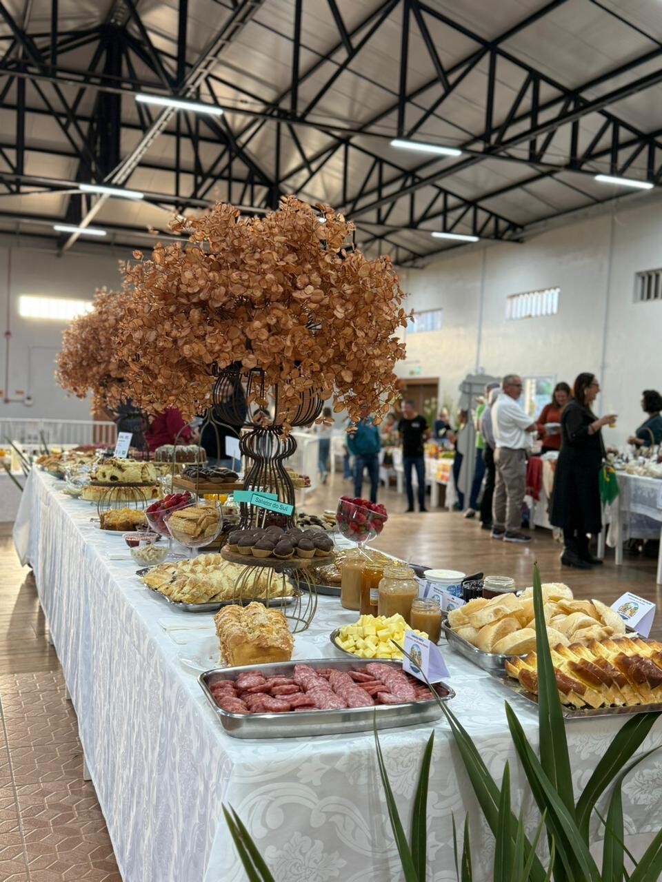 WhatsApp Image 2026-04-29 at 08.50.59 (2).jpeg