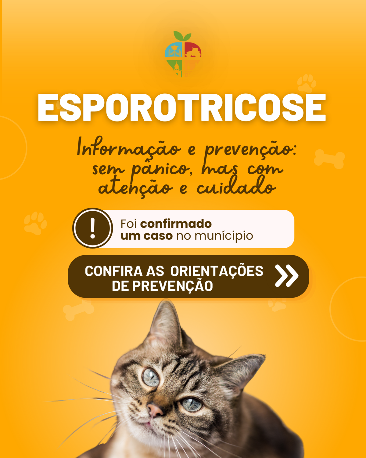conhecimento-e-cuidado-ajudam-a-prevenir-a-esporotricose