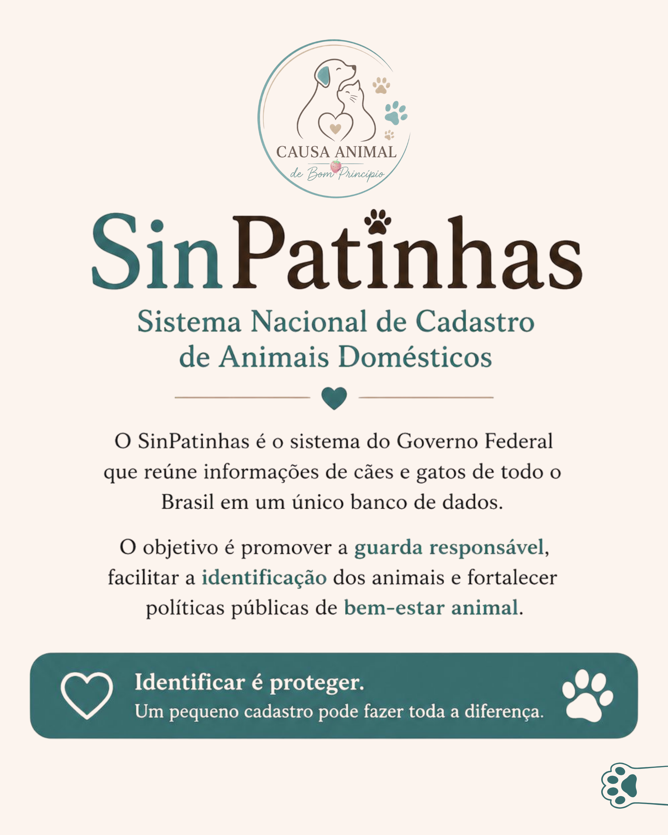 causa animal.png