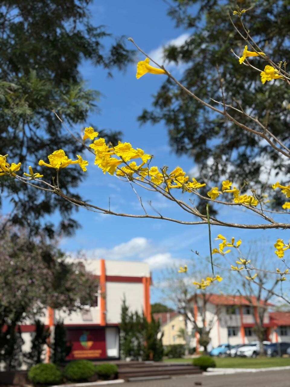 WhatsApp Image 2025-10-02 at 13.51.52 (2).jpeg