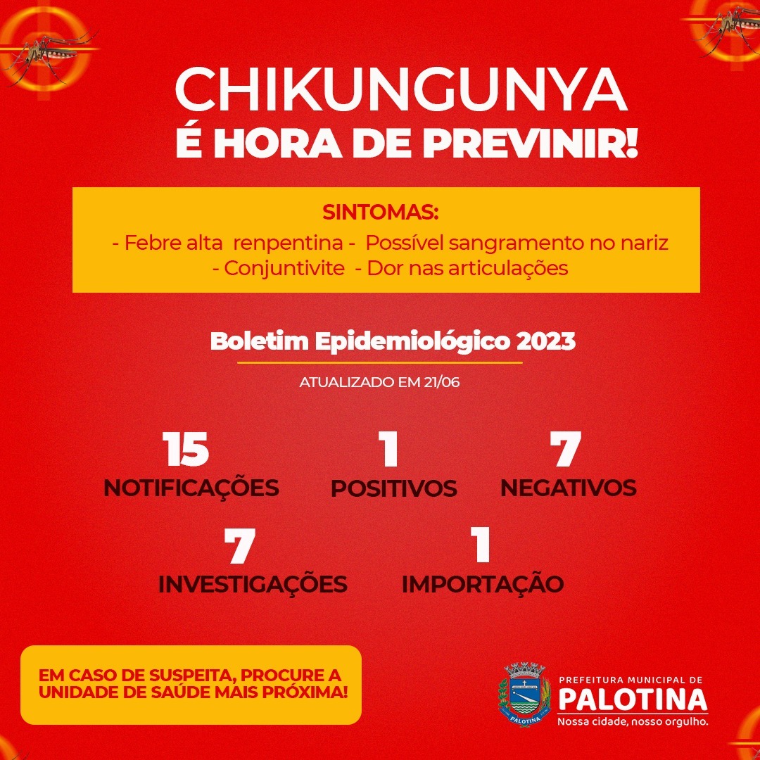 BOLETIM Chikungunya: é hora de prevenir