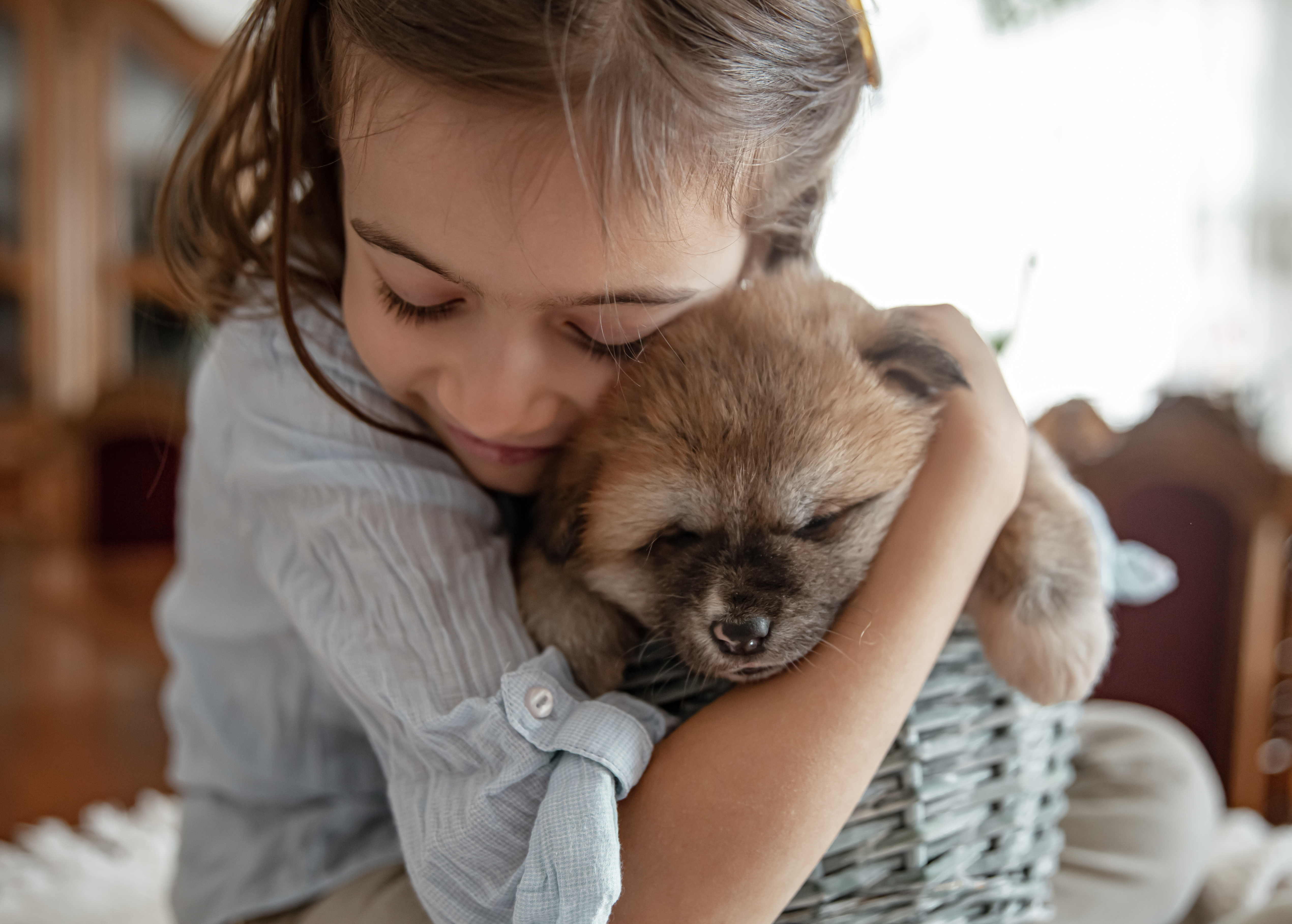 Rede de Proteção a Animais      