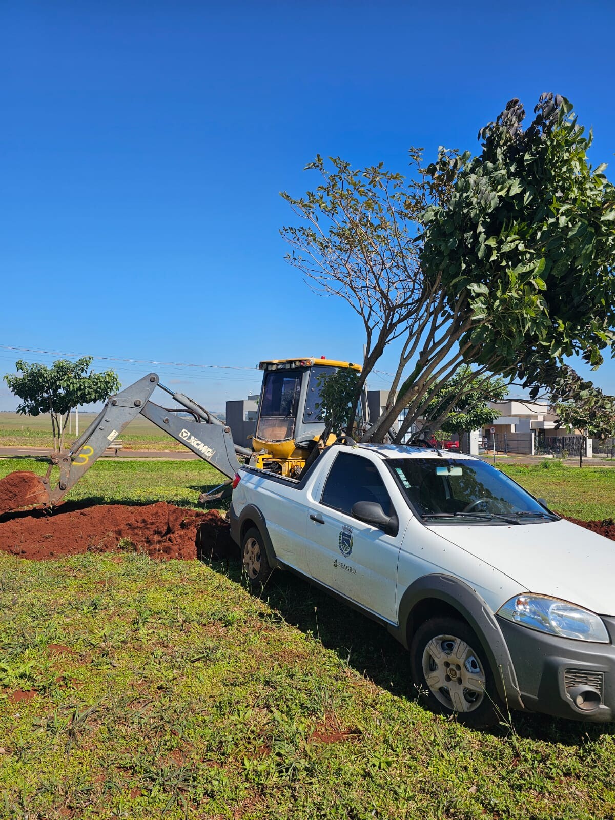 prefeitura-realiza-retirada-de-arvores-para-replantio-em-areas-publicas-e-prepara-terreno-para-construcao-do-cmei-progresso