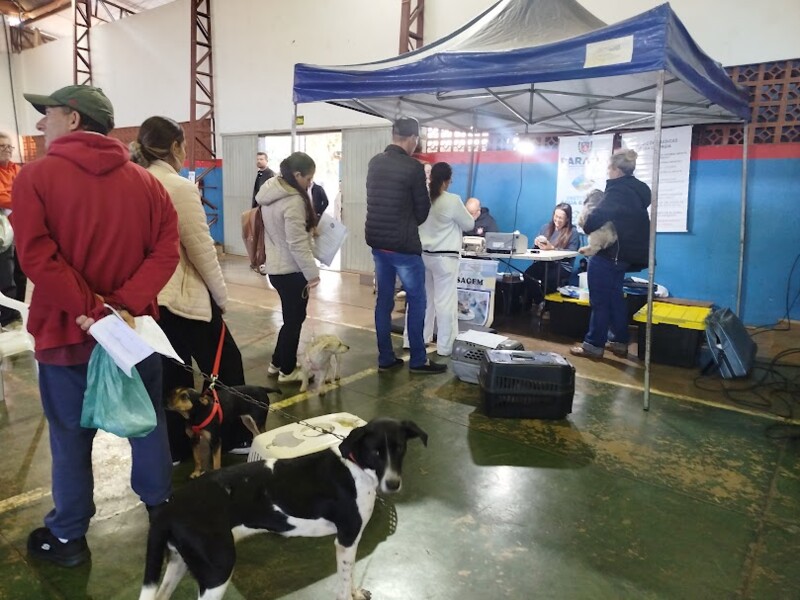 castrapet-parana-realizou-mais-uma-etapa-de-castracoes-em-palotina