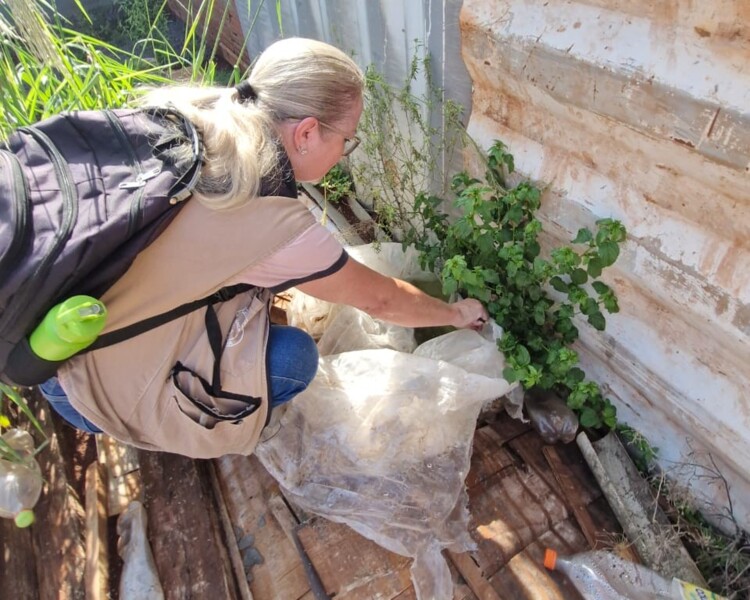 palotina-intensifica-acoes-de-combate-a-dengue-e-reforca-fiscalizacao-preventiva
