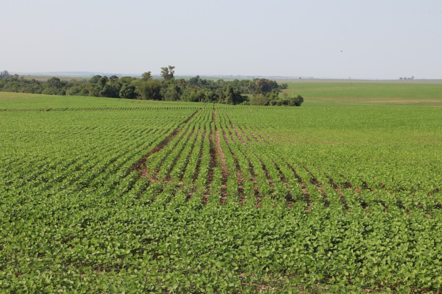 forum-tecnico-da-expo-palotina-2026-abordara-temas-estrategicos-do-agronegocio